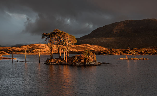 Loch Assynt, Pinieninsel