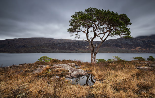 Loch Maree