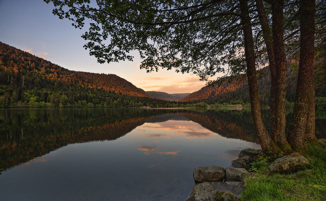 Lac de Longemer, Vogesen