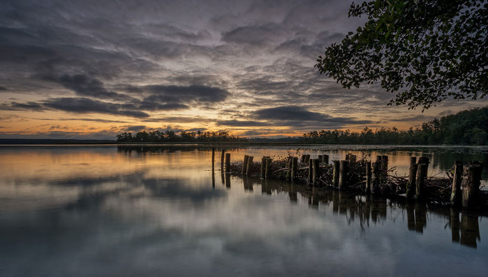 Tollensesee
