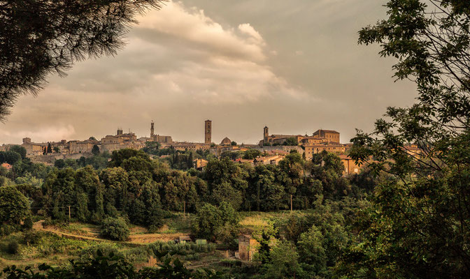 Volterra