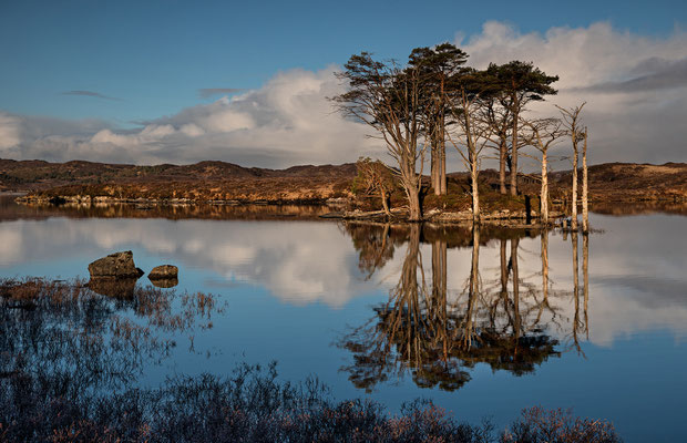 Loch Assynt, Pinieninsel
