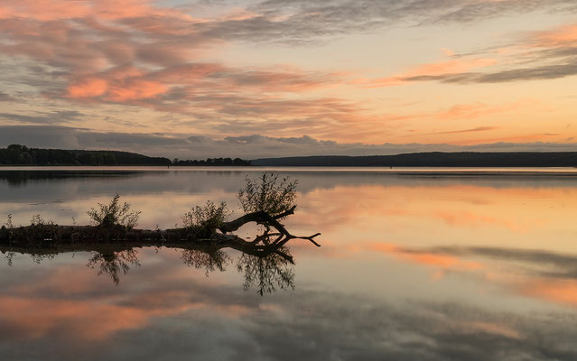 Tollensesee