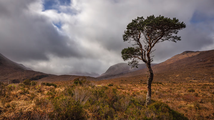 Loch Maree