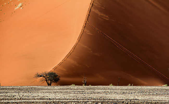Die Dünen im Namib Naukluft Park 3