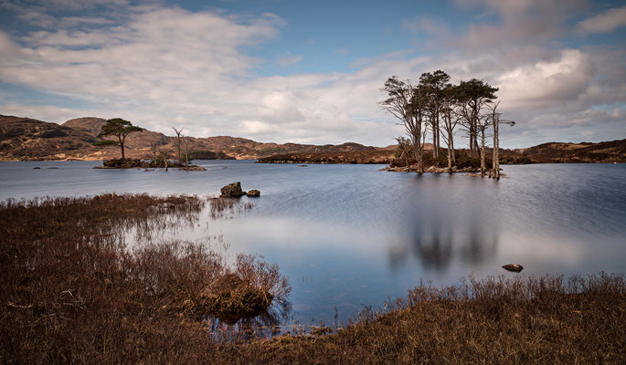 Loch Assynt, Pinieninsel