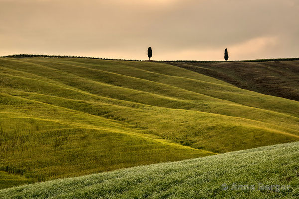 San Quirico d'Orcia