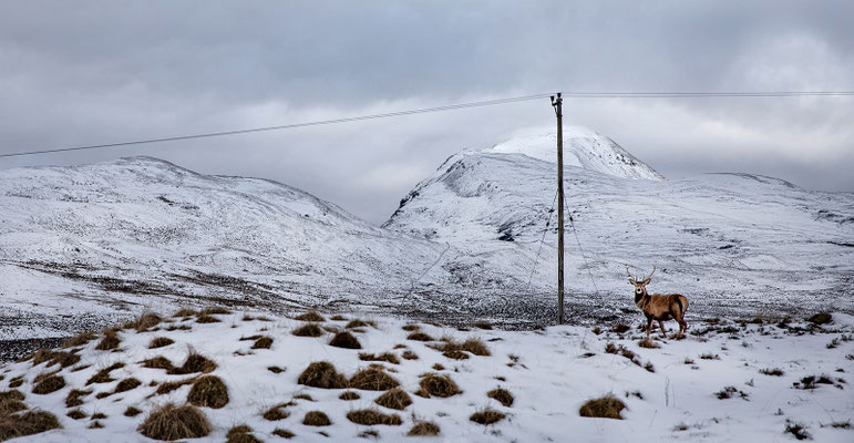 Assynt