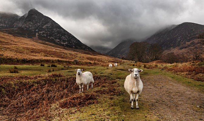 Glen Sannox, Arran