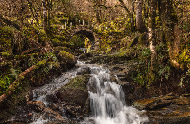 Fairy-Bridge