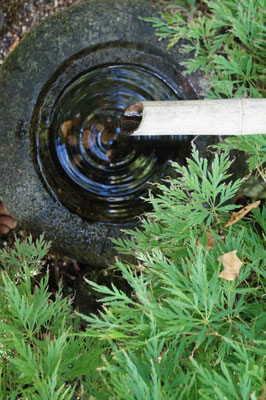 Ein Wassertropfen fällt in ein steinerndes Wasserbecken. Wasserringe bilden sich um den Tropfen. Wie ein Mandala einer Meditation