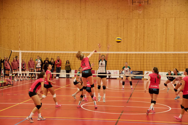 VBC Visp – Volley Schönenwerd (in Fully)