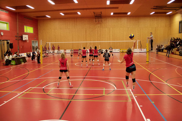 VBC Visp – Volley Schönenwerd (in Fully)