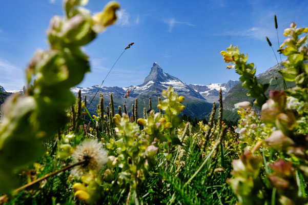 Schweiz