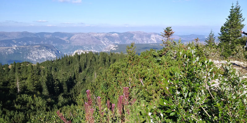 Viewpoint Tara Canyon