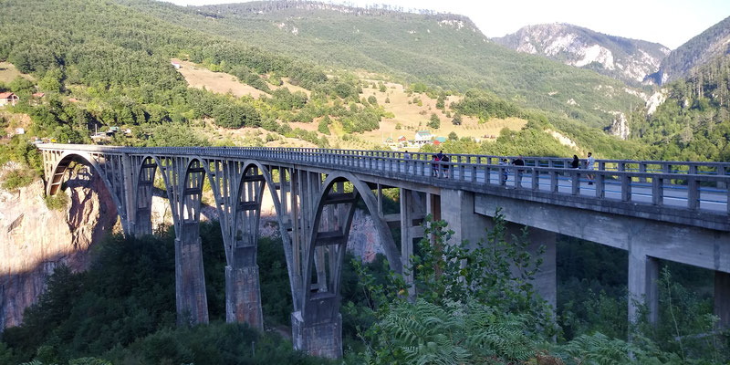 Tara-Brücke
