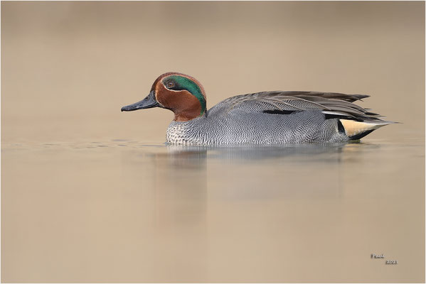 wintertaling