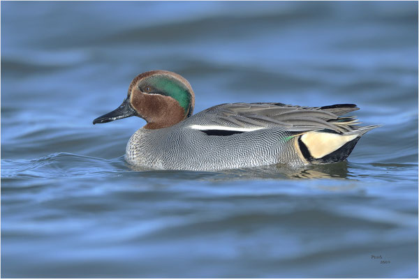 wintertaling