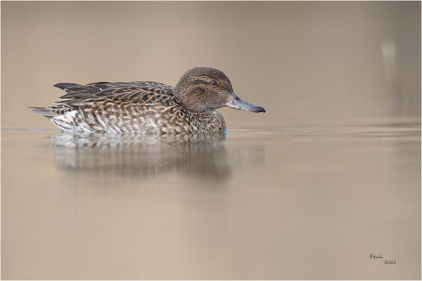 wintertaling