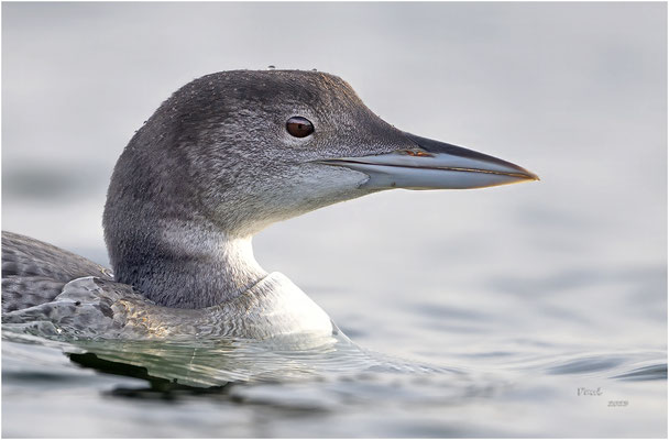 ijsduiker