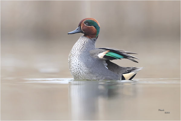 wintertaling