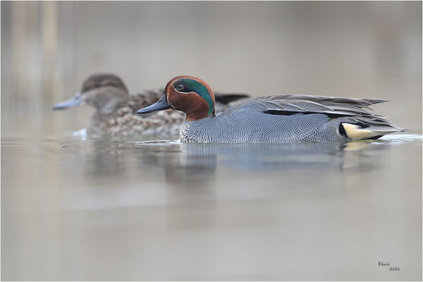 wintertaling