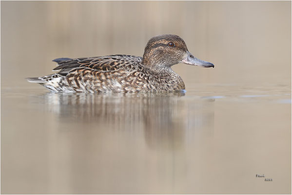 wintertaling