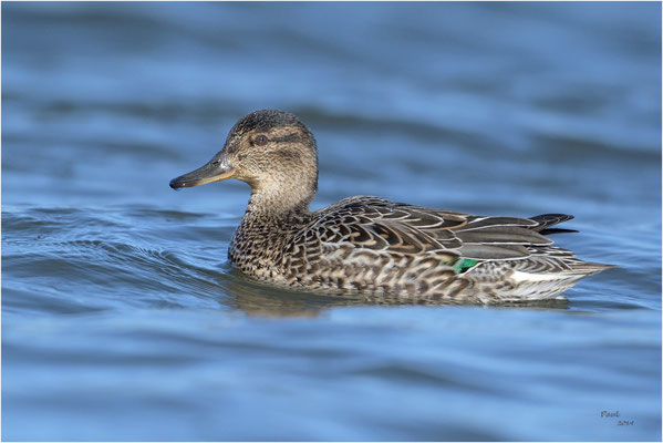 wintertaling
