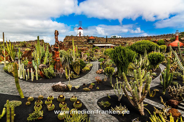 Jardin de Cactus von Cesar Manrique, Lanzarote