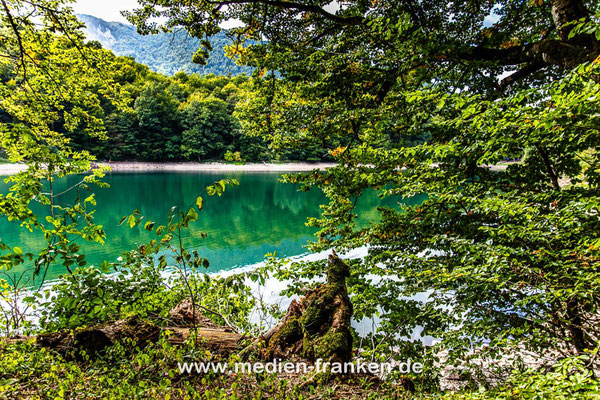 Nationalpark Biogradska Gora mit Gletschersee Biogrdska Jezero, Montenegro