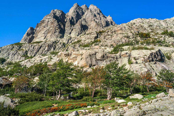 Bildband Korsika, Reisebildband Korsika, Reiseführer Korsika, Korsikareise