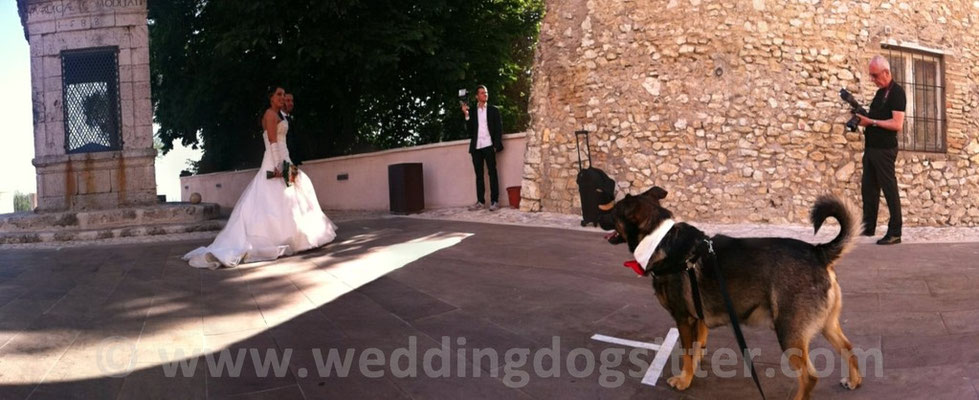 MATRIMONIO WEDDING DOG SITTER ROMA