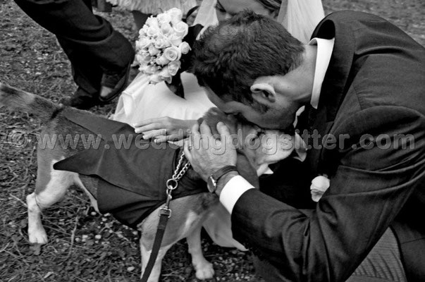 MATRIMONIO WEDDING DOG SITTER ROMA