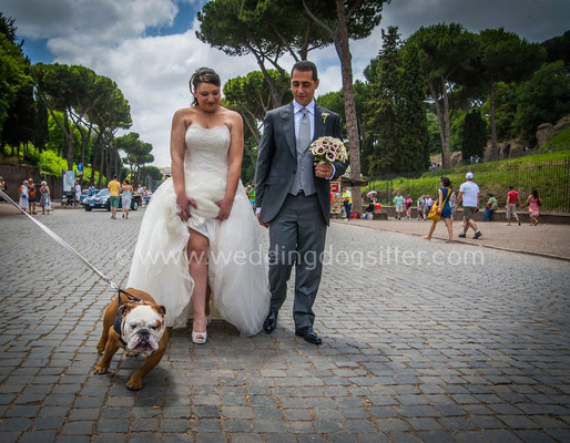 SPOSI CON IL CANE A ROMA COLOSSEO FOTO MATRIMONIO