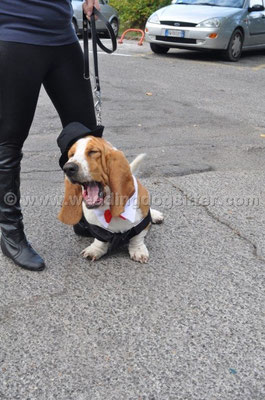MATRIMONIO WEDDING DOG SITTER MONTEROTONDO