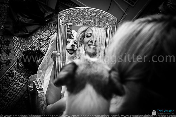 SPOSA TRUCCO E PREPARAZIONE IL CANE PARTECIPA