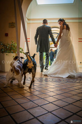 SPOSI CON IL CANE MATRIMONIO PUGLIA WEDDING DOG SITTER NOZZE