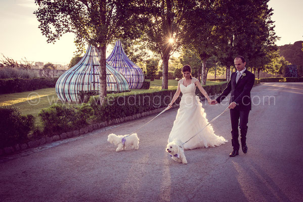 FOTO ALBUM MATRIMONIO CON CANE