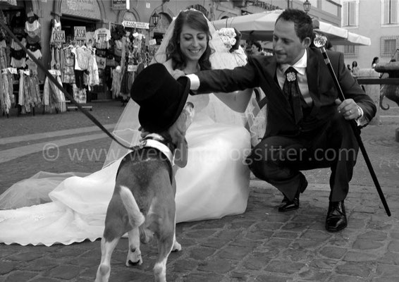 MATRIMONIO WEDDING DOG SITTER ROMA CASTELLI ROMANI TENUTA CUSMANO