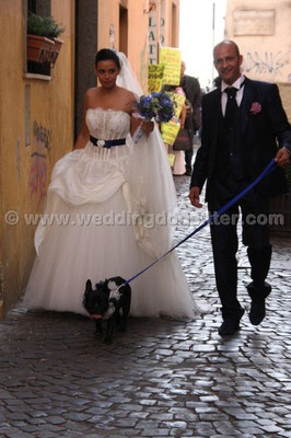 MATRIMONIO WEDDING DOG SITTER ROMA