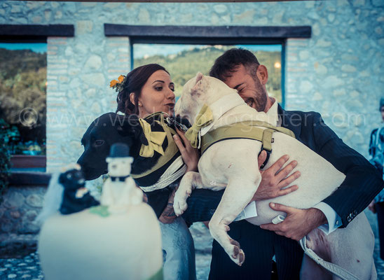 SPOSI CON IL CANE DOG SITTER ROMA