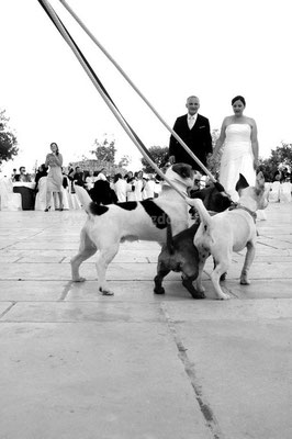 MATRIMONIO WEDDING DOG SITTER MATERA I LUOGHI DI PITTI