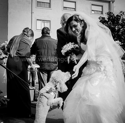 MATRIMONIO WEDDING DOGS SITTER NAPOLI