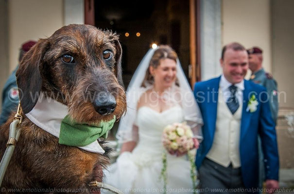 WEDDING DOG TOSCANA VIAREGGIO ANTICA FATTORIA DI PATERNO