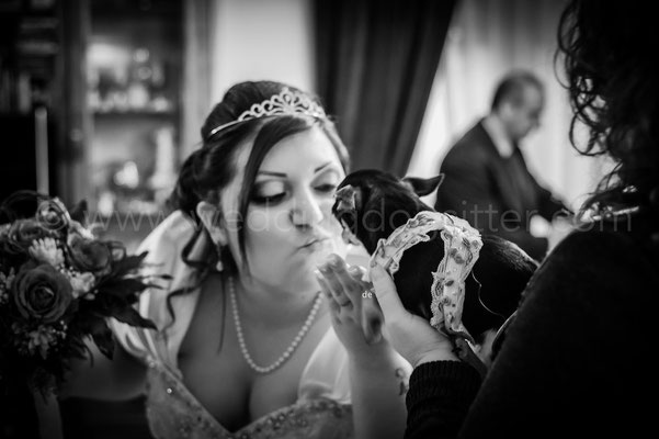 SPOSINA A ROMA CON IL CANE AL MATRIMONIO