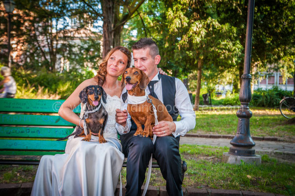 SPOSINI CON IL CANE AL MATRIMONIO
