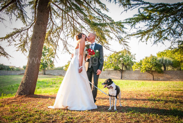 FOTO DI SPOSI CON IL CANE