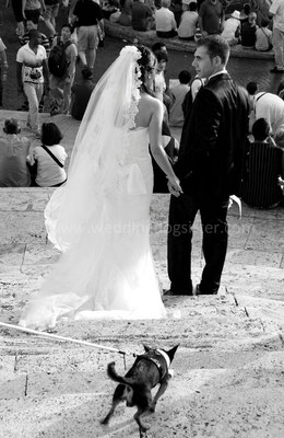 MATRIMONIO WEDDING DOG SITTER ROMA VILLA BELLINI