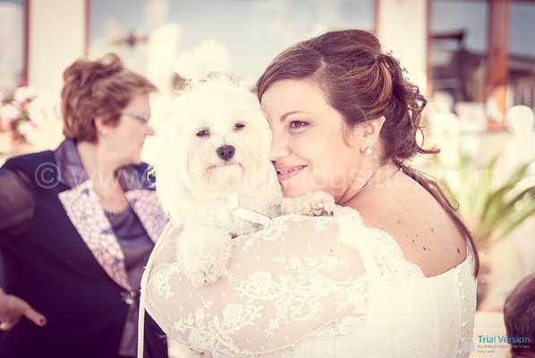 CANE AL MATRIMONIO A NAPOLI WEDDING DOG VILLA CLERMONT