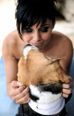 SPOSA CON BEAGLE WEDDING DOG SITTER MONTEROTONDO